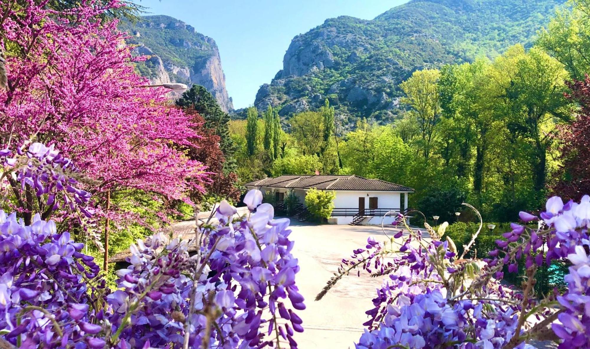 Hotel La Ginestra Acqualagna Kültér fotó